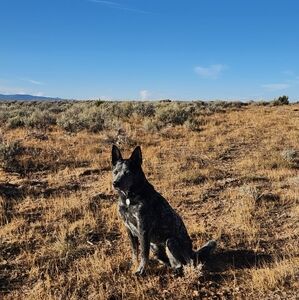 Meet your Posher, Cynthia